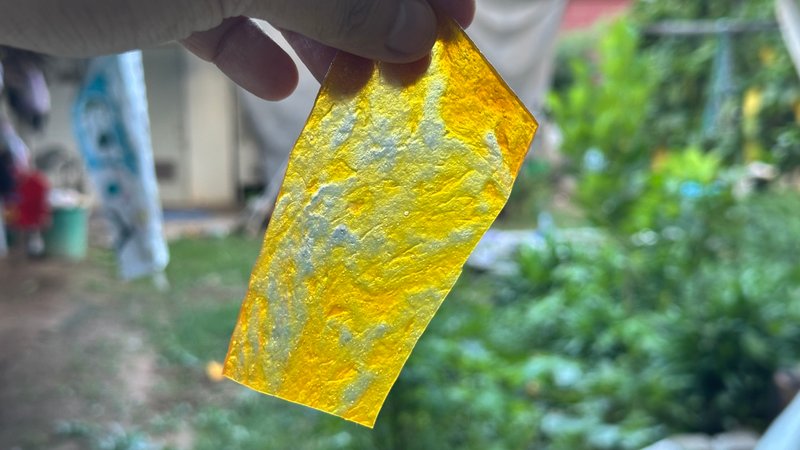 Mango lover look here, this the ultimate mango snack you need