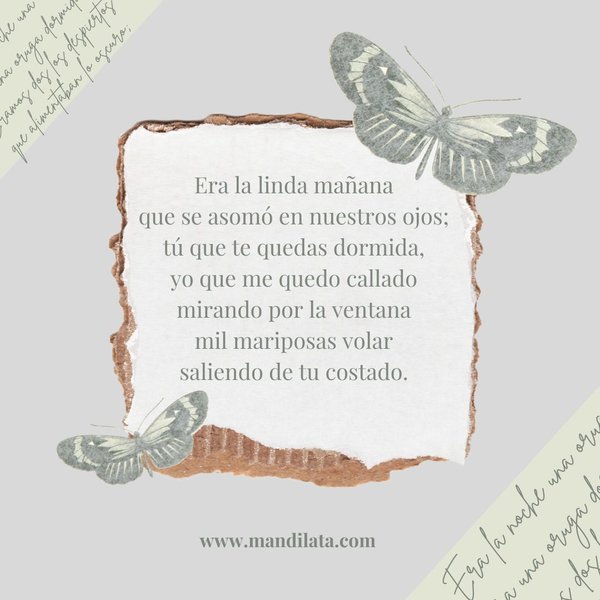 MARIPOSAS