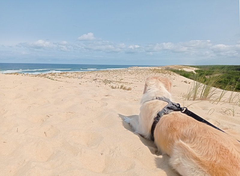 POBphotocontest Entry: SAND