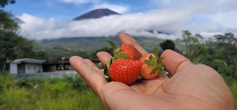 See the enchantment of Rinjani while visiting the foot of this hill