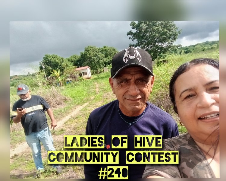 Concurso comunitario de Damas de Hive n.° 240 // Ladies of Hive Community Contest #240