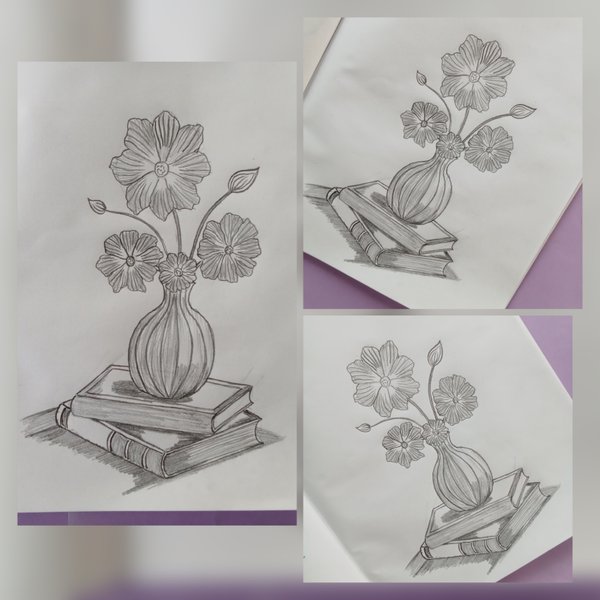 Pencil Drawing of Flower Vase on Books