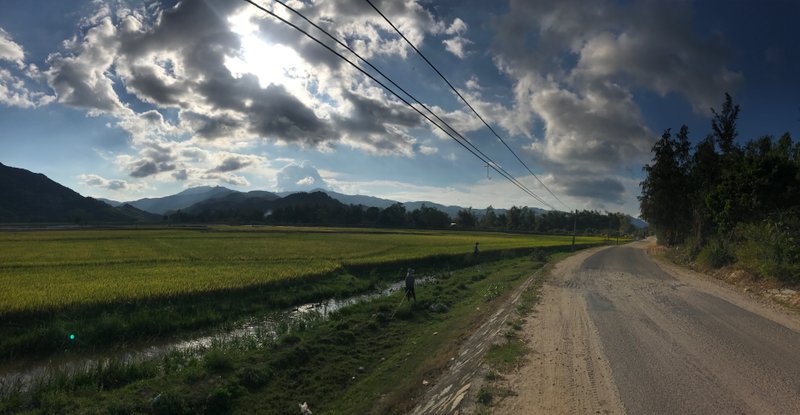 Hearding the road, memories of Vietnam.