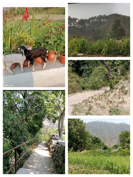 Visit to a beautiful village 