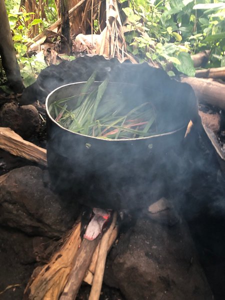 Malaria and Typhoid Treatment in Lemon Grass, Pigeon Peas, and Pepper Leaf/ Cooking Methods 