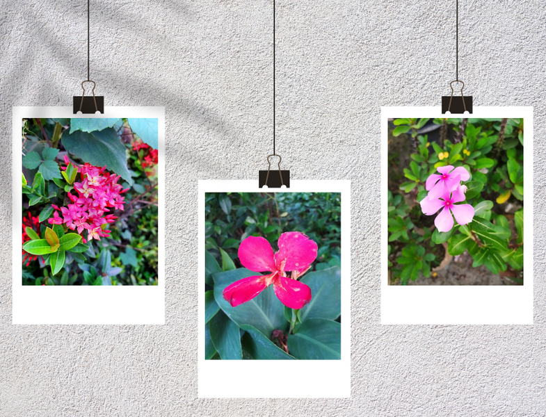 Photography Post:-Some different photography taken by me
