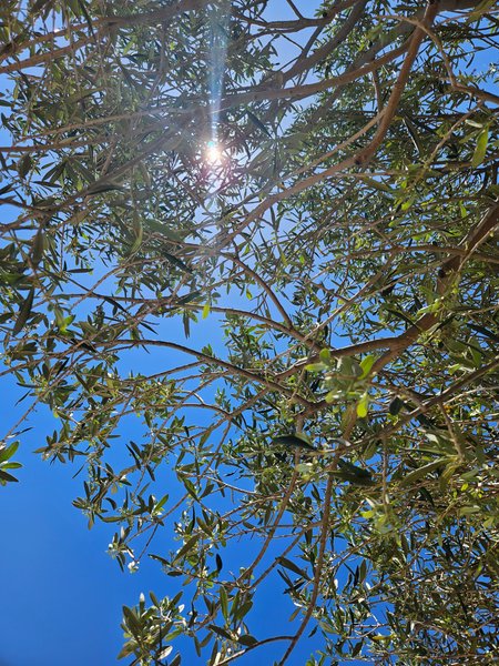 Current view