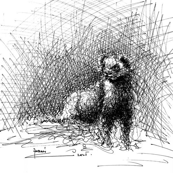 More For A Pet [6] - "A Ferret" - (Scribble Drawing).