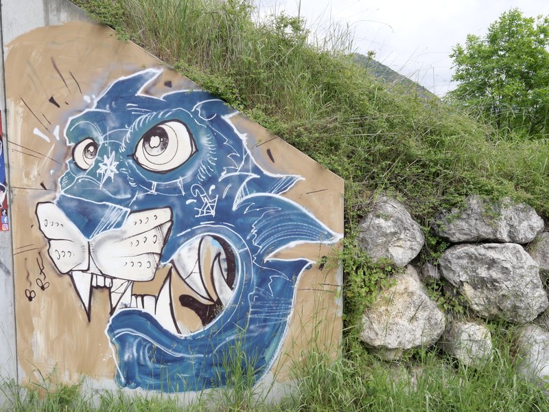 CCC's Street Art Contest #247