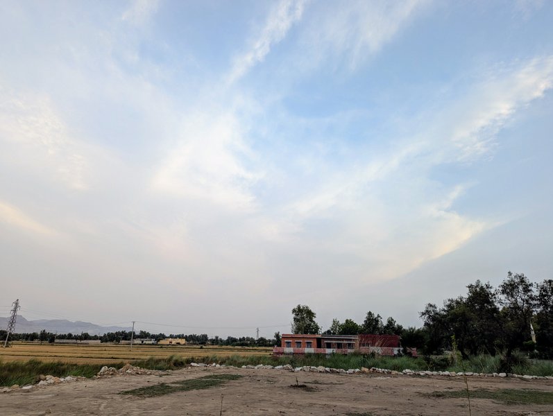 A Peaceful Walk in My Village .My Actifit Report Card: May 29 2025