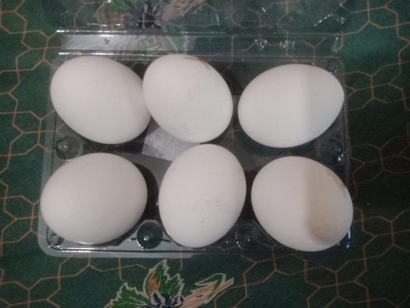 Why Eggs Should Be a Staple in Your Diet!