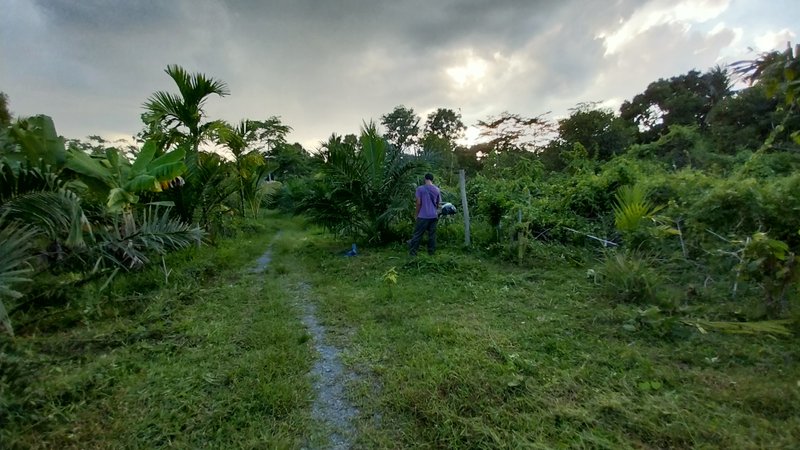 Stories about taking care of green spaces and cutting grass🍍🧑‍🏭🧑‍🌾🌿 