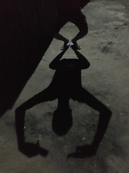 Entry for shadow hunters contest/SMASh - Round 321: Anonymous creature