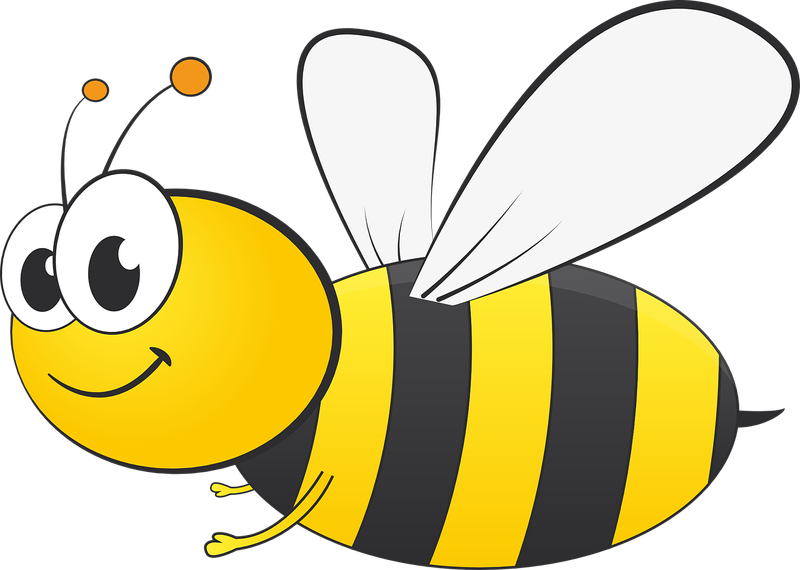 Delegation Giveaway -BEE