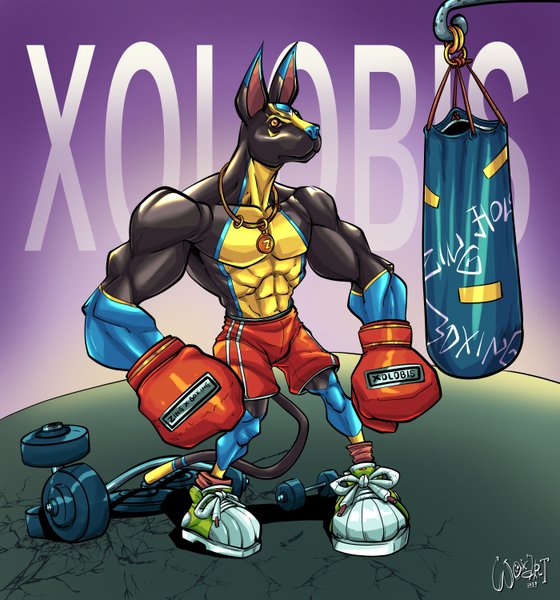 Xolobis at the boxing training ground, Holozing Fanart