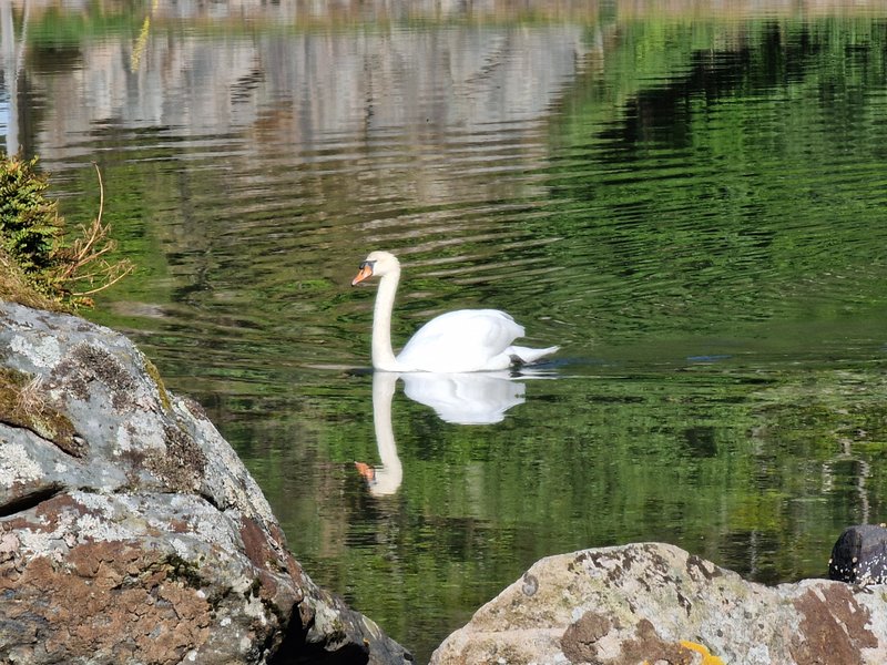 entry reflections 222