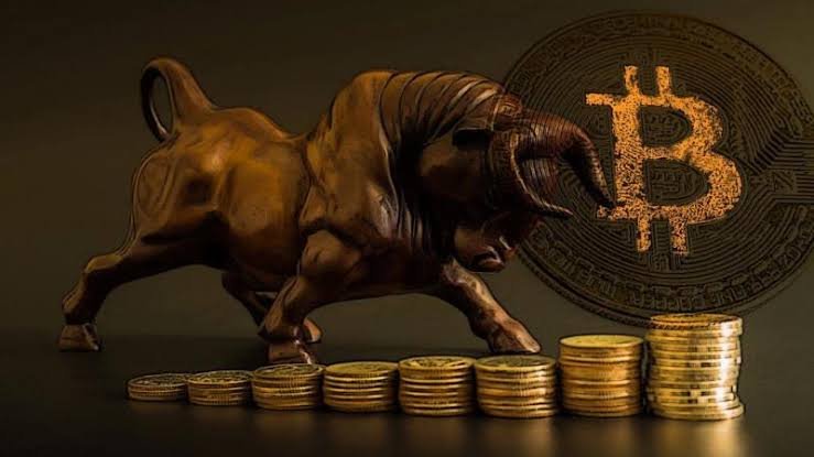 Everyone is right in a bull market