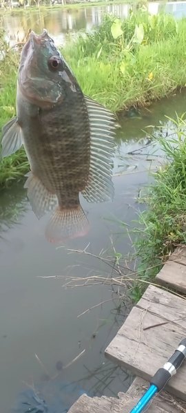 Fishing is Really Good.