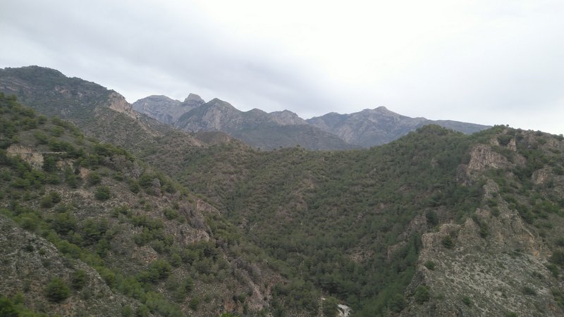 Between sea and mountains - walk above Frigiliana