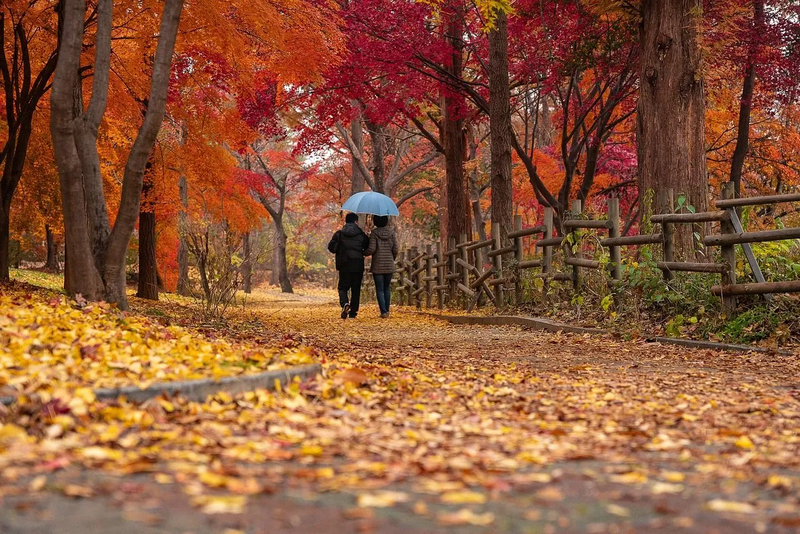 A Picture Is Worth A Thousand Words: AUTUMN RAIN