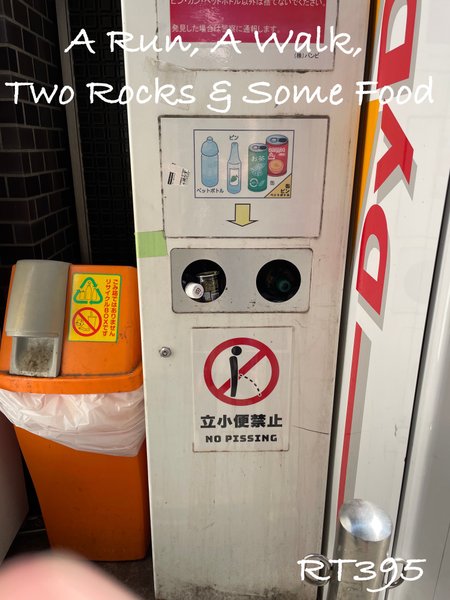 A Run, A Walk, Two Rocks And Some Food In Tokyo