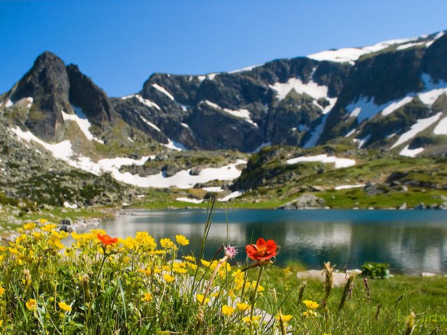 Mountain Rila