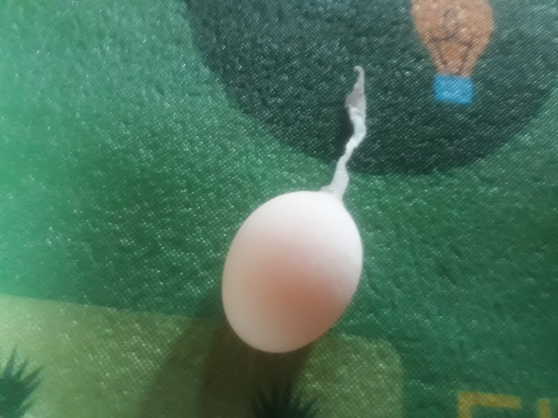 Stemmed Eggs