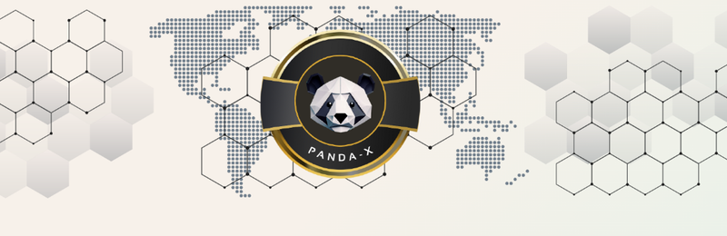 Join PANDA-X today! My overview of Panda-X