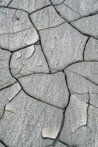 Salse di Nirano - Mud volcanoes b/n