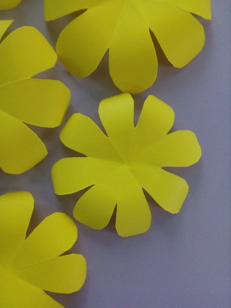 Simple Paper Flowers