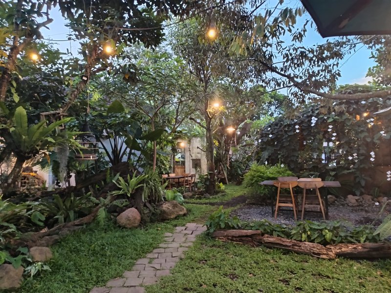 Our Whimsical Café Date: Where Animals Roam and Hearts Grow Full