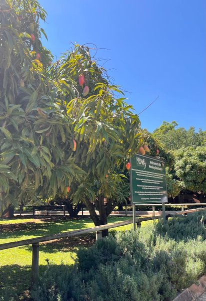 Elephant Sanctuary & Almost Orange