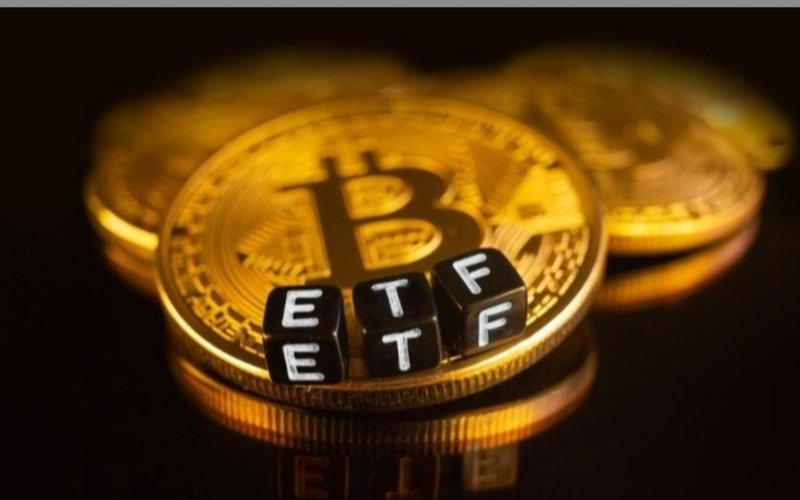 The Impact of Bitcoin Spot ETFs on the Cryptocurrency Market.