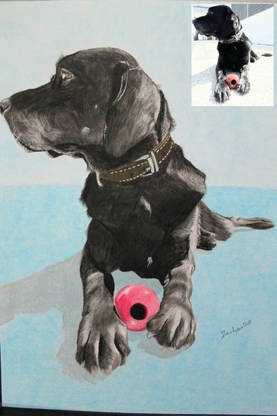Art Journal: Drawing Of Black Dog 