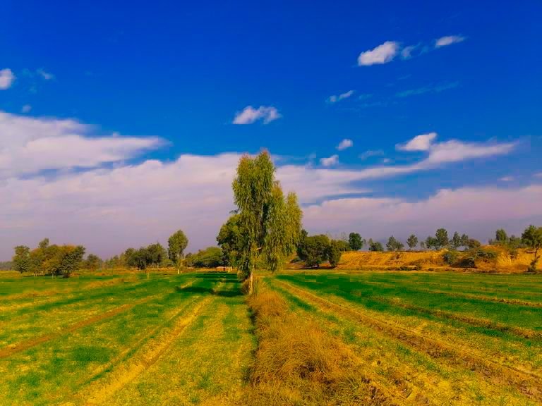 Whoever likes the beautiful view of my village, please express your opinion. I am ...