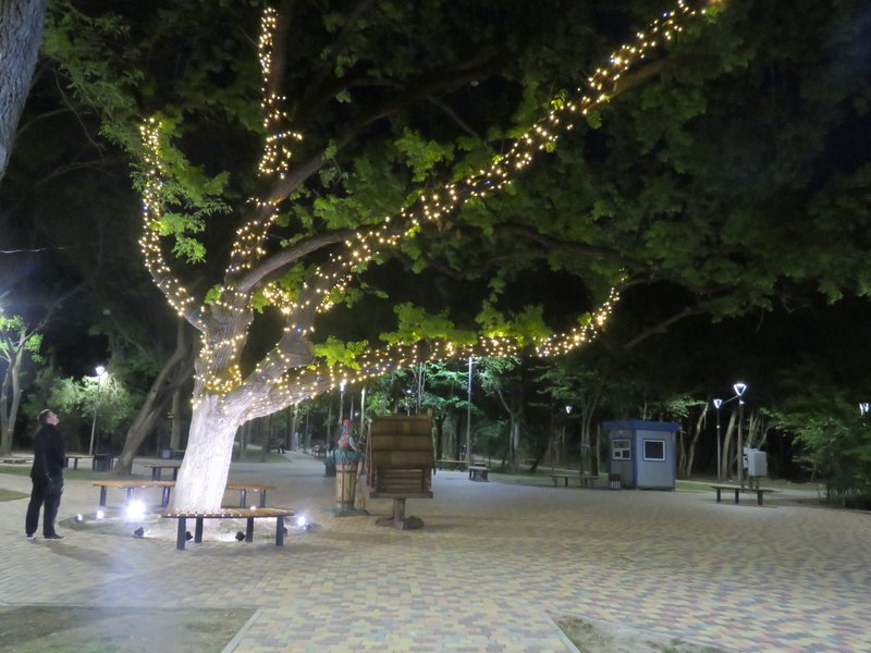 NIGHT PARK WALK