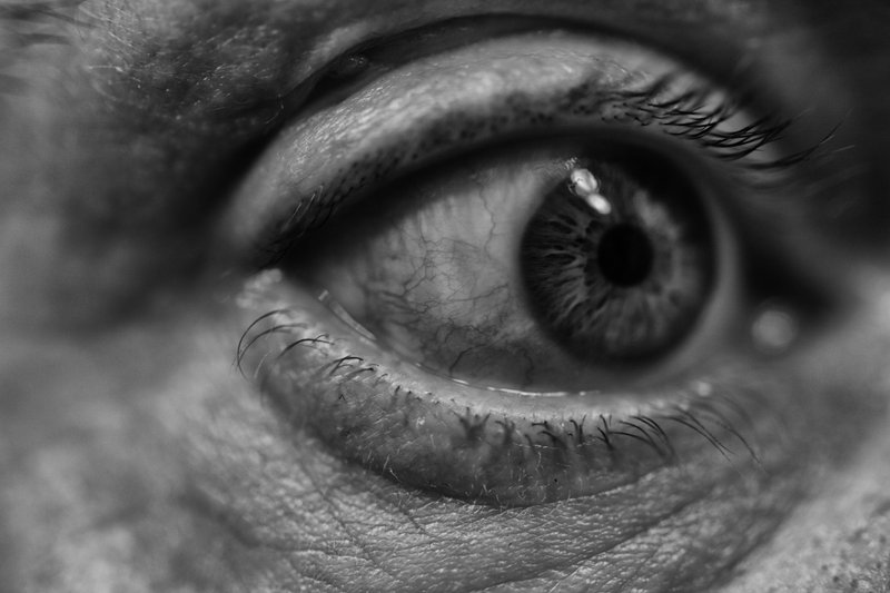 Monomad: Macro of My Eyeball