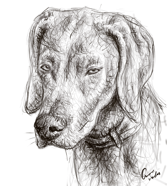 Bored Dog - Digital Drawing