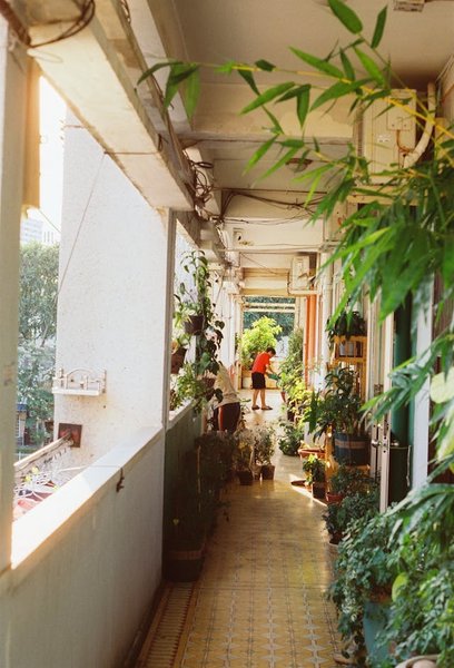 Poema: Los susurros de mi jardín. ESP/EN.