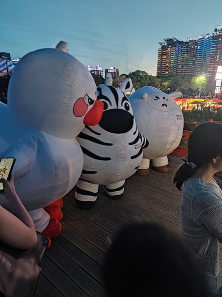 萌宠江滩聚会