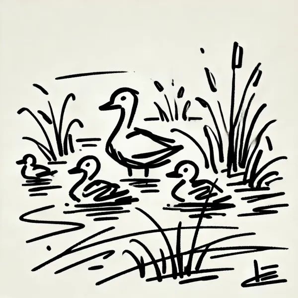 Helping Ducks in the North Shore: What I’ve Learned