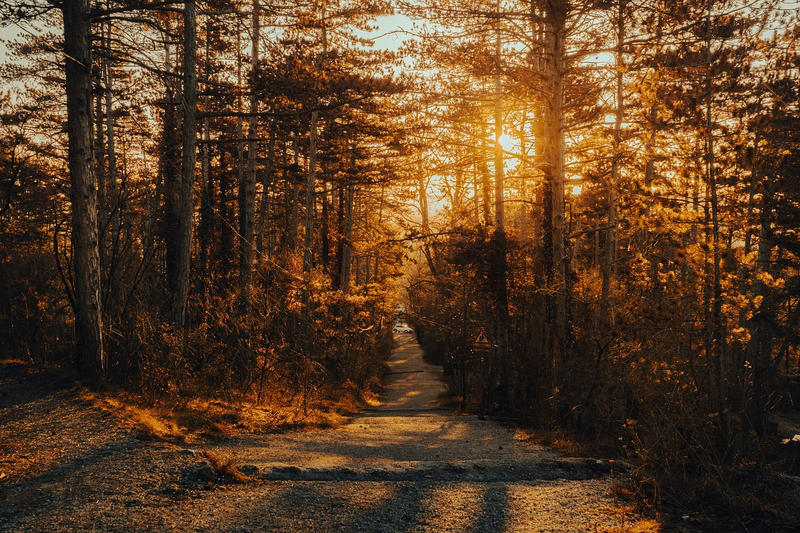 The Gut Feeling That Saved My Life