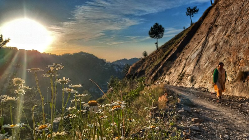Golden trials and beautiful quiet hills. 