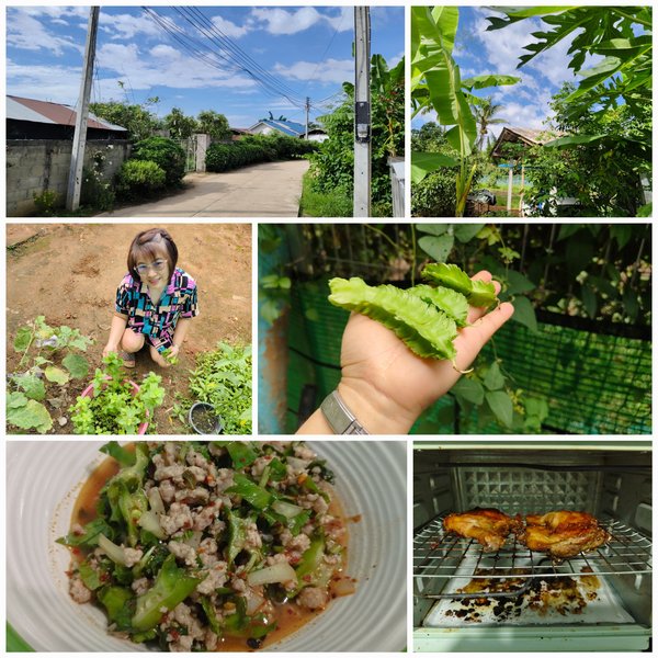 Walk in the village this morning and lunch that my wife cooked from vegetables in the home garden.
