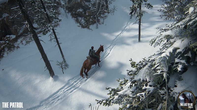 The Patrol.