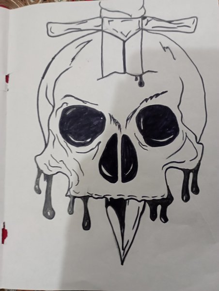 Art Adventure: Unveiling My Amazing Sketches