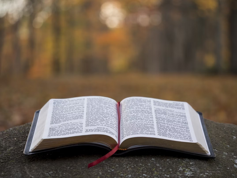 Weath, Riches Glory, Honour  and Blessing are For Christians