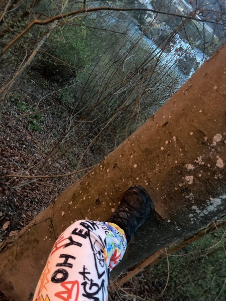 good vibes in the forest