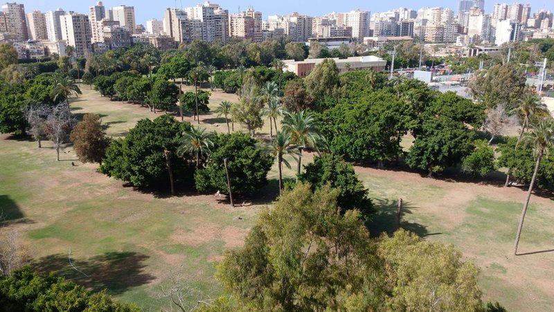 Good Morning From Alexandria
