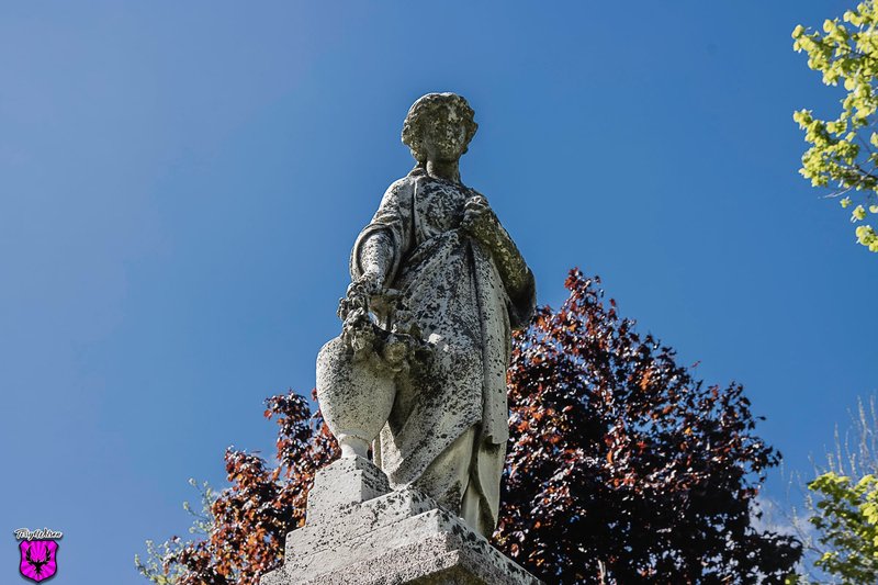 Focusing On Memento Mori
